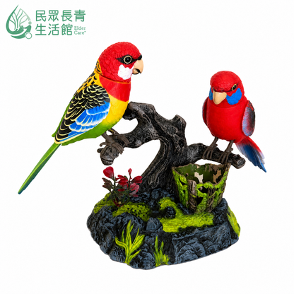 智慧陪伴鳥