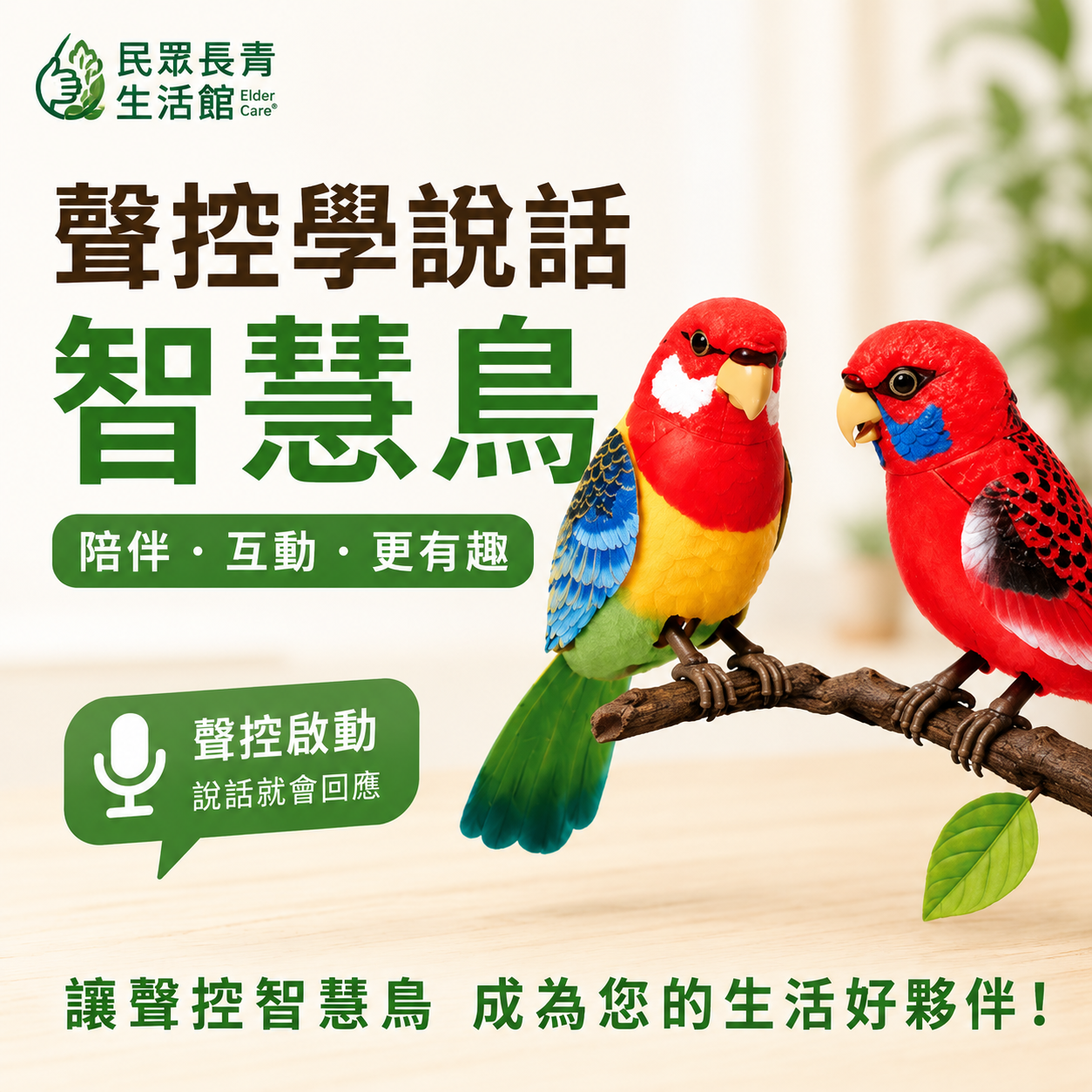 智慧陪伴鳥